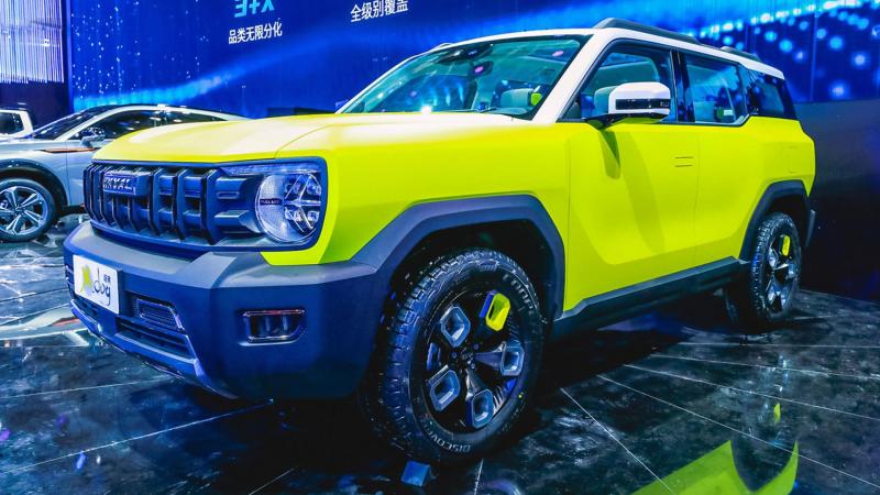 Haval x dog